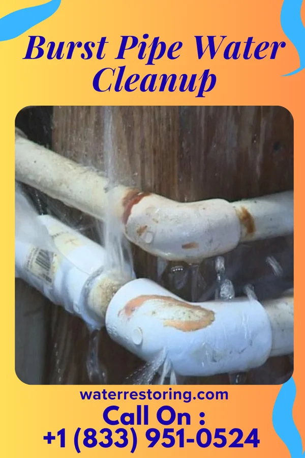 Burst Pipe Water Cleanup in Holiday Beach, TX