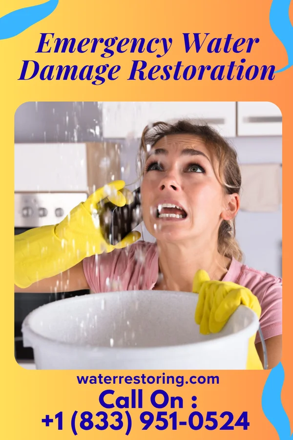 Emergency Water Damage Restoration in Holiday Beach, TX