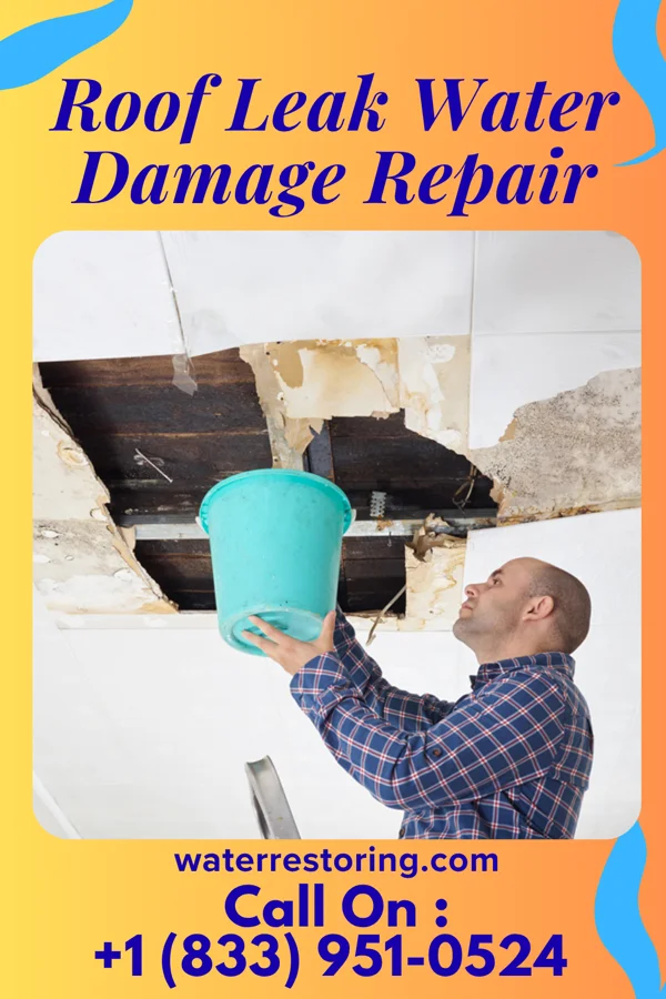 Roof Leak Water Damage Repair in Holiday Beach, TX